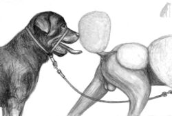 ambiguous_gender anus balls black_and_white canine canine collar darkmare duo feral girly leash male mammal monochrome open_mouth poodle rottweiler simple_background tongue tongue_out white_background