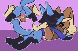 anal anal_sex animal_genitalia ass balls black_sclera blush bottomless canine clothed clothing cum_from_ass duo felicario felino felipunny hoodie hug humanoid_penis knot lagomorph leg_wrap looking_pleasured lopunny lucario lying male mammal missionary_position multiple_angles nintendo on_back penetration penis pokemon pokemon_(species) sex sheath square_crossover video_games yaoi