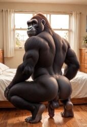 2024 ai_generated anthro anus ape ass ass balls bed bedroom carnivalecloudmuncher day furry gorilla haplorhine hi_res humanoid_penis hyperrealistic indoors looking_at_viewer looking_back male male_only mammal monkey muscular penis perineum photorealism photorealistic primate realism realistic rear_view self_upload solo squatting tagme