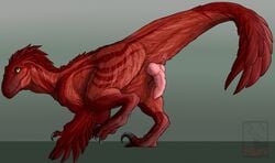 1male animal_genitalia animal_penis anus barbed_penis cultmastersleet dinosaur feral male male_only penis raptor simple_background solo theropod