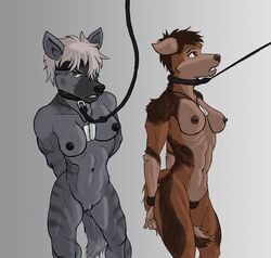 abs angry anthro arms_behind_back biceps bondage bound breasts canine collar coyote deebo dog_tags duo female femsub headband hyena leash mammal marsonaut multiple_subs muscular nude prisoner pubes pussy red_eyes simple_background wide_hips