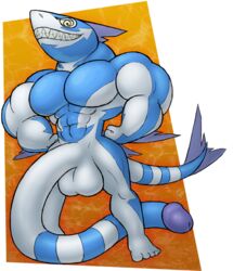 anthro full-length_portrait full_length hyper hyper_balls hyper_penis male male_only muscular portrait posing rubberskunktoo shark solo standing tail