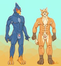 avian balls canine duo falo_lombardy flaccid fox fox_mccloud gay male mammal nintendo nipples pecs penis rawrrarr star_fox video_games yaoi