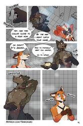 animal_genitalia anthro blush brown_body brown_eyes brown_fur canid canine canis casual_nudity collar comic duo english_text fox fur genitals green_eyes hi_res howl_(shikokubo) jasper_(shikokubo) male male/male mammal muscular muscular_male orange_body orange_fur sheath shikokubo showering size_difference soap text wet whistling wolf