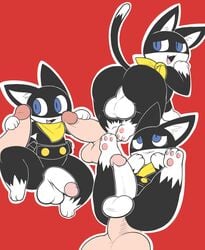 3boys aintsmart anal cat disembodied_penis feline flaccid furry gay group handjob human humanoid_penis interspecies looking_at_viewer male male_only mammal megami_tensei morgana_(persona) penis persona persona_5 presenting sex testicles yaoi