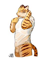 1boy 4_fingers anthro balls blush bottomless brown_fur clothed clothing erection feline fur jeck male male_only mammal navel nipples partially_retracted_foreskin penis shirt solo standing tan_fur tiger tongue tongue_out uncut wet wet_clothing wet_shirt