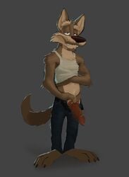 1boy animal_genitalia animal_penis anthro barefoot belt canine canine_penis clothed clothing erection exposing facial_hair knot looking_at_viewer male male_only mammal orf pants penis shirt solo wade_wolf wolf