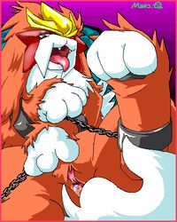 bound color entei female female_only feral front_view fur furry meru nintendo nude pokemon pussy_juice solo tagme vulva