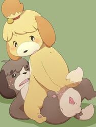 2014 animal_crossing anthro black_nose blonde_hair blush brown_fur brown_hair canine digby_(animal_crossing) duo female fur hair hair_ornament incest isabelle_(animal_crossing) male mammal nintendo nude opposite_sex_twins penis short_hair sibling straight video_games white_fur yellow_fur yonezmi