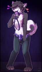 1boy 2d 4_fingers 4_toes anthro black_fur black_hair blush boxers bulge canine collar eyewear fur furry glasses heart husky jeans leash looking_at_viewer male male_only mammal navel pants purple_eyes purple_fur purple_nose simple_background solo standing toes tongue tongue_out topless underwear undressing white_fur yuniwolfsky