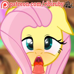 blue_eyes blurred_background cute equine female floppy_ears fluttershy_(mlp) friendship_is_magic fur hair human humanoid_penis licking male mammal my_little_pony penis pink_hair ribiruby straight_hair tongue tongue_out yellow_fur