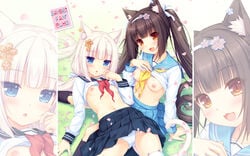 2girls :3 :d animal_ears arm_support artist_name black_hair black_legwear black_skirt blue_eyes blue_skirt blush breasts brown_eyes cameltoe cat_band_legwear cat_ears cat_tail chestnut_mouth chocola_(sayori) collarbone eyebrows_visible_through_hair grass hair_ribbon hairband head_tilt kneehighs long_hair looking_at_viewer medium_breasts multiple_girls navel nekopara nipples no_bra open_mouth original panties petals pleated_skirt ribbon sayori school_uniform serafuku shirt shirt_lift skirt slit_pupils small_breasts smile tail thighhighs tied_hair twintails underwear vanilla_(sayori) very_long_hair white_hair white_hairband white_legwear white_panties white_ribbon white_shirt zoom_layer