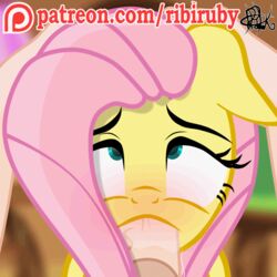 animated blue_eyes blush equine fellatio fellatio_from_feral female fluttershy_(mlp) friendship_is_magic fur hair human_on_feral male_on_feral mammal my_little_pony oral penis pink_hair ribiruby sex yellow_fur zoophilia