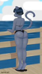 ass_focus boardwalk cat_ears cat_girl cat_tail furry furry_female jaynoe_(artist) looking_at_viewer looking_back swimsuit