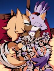 blaze the cat from sega by j nsfw