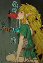 link from nintendo by luxica