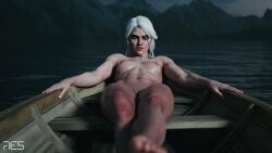 ciri from cd projekt red by res (artist)
