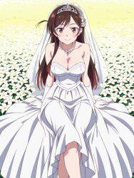 mizuhara chizuru from kanojo okarishimasu