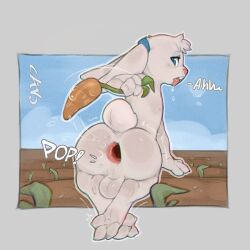 buttplug furry gaping_anus gay male presenting rabbit tagme yaoi zinsockhyr