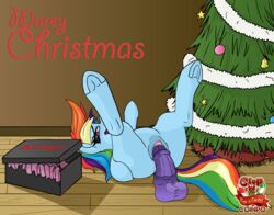 2015 ass bad_dragon blue_fur christmas christmas_tree clitoris coinpo dildo english_text equine female feral friendship_is_magic fur gift hair holidays horse inside looking_at_viewer lying mammal masturbation multicolored_hair my_little_pony on_back penetration pony purple_eyes pussy rainbow_dash_(mlp) sex_toy solo spread_legs spreading text tree vaginal_penetration vaginal_penetration