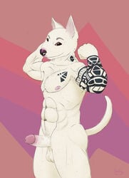 abs balls canine erection flexing geometric_background heddy humanoid_penis looking_at_viewer male male_only mammal nipples nude pecs penis pinup pitbull pose pubes signature solo tattoo vein veiny_penis