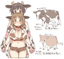 2girls 7010 animal animal_ears bell blush bovine breasts brown_eyes brown_hair collar cow_ears cow_print cowbell educational female idolmaster idolmaster_cinderella_girls large_breasts mimura_kanako multiple_girls oikawa_shizuku short_hair short_shorts shorts