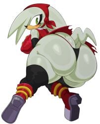oc from sonic (series) by snesti