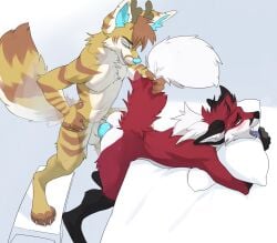 2026 anal anal_penetration anthro antlers balls bed blue_penis blush canid canine claws digital_media_(artwork) drmax duo fennec_fox finger_claws fox from_behind_position fur furniture genitals hair hi_res horn hug hugging_object hugging_pillow larger_penetrated looking_pleasured male male/male mammal nude nude_anthro nude_male on_bed penetration penile penile_penetration penis penis_in_ass pillow platform_standing_doggystyle red_body red_fur sex size_difference standing_doggystyle step_stool stripes tail tail_grab tan_body tan_fur thane toe_claws true_fox white_body white_fur zoru