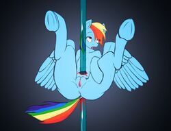 2016 anus ass black_background blood blue_feathers blue_fur death equine feathered_wings feathers female female_death feral friendship_is_magic fur gore guro hair humanoid_pussy impalement mammal multicolored_fur multicolored_hair my_little_pony nude pegasus pussy rainbow_dash_(mlp) rainbow_fur rainbow_hair sanfingulipunrapin simple_background solo spread_legs spreading wings