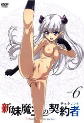 dvd_label innie_pussy naruse_maria nipples nude photoshop pointy_ears pussy shinmai_maou_no_testament succubus tail uncensored watanabe_yoshihiro