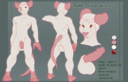 albino anthro ass athletic balls big_balls big_butt big_ears big_penis circumcised cute facial_hair feet frenulum glans hair huge_balls huge_cock isaac_wistar male male_only mammal model_sheet muscular nipples nude penis plantigrade potionmastercernun rat red_eyes rodent sideburns solo teeth urethra vein voluptuous white_hair wide_hips