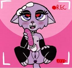 Anthro Rule 34 Image