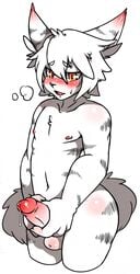 anthro aw008166 balls blush brown_eyes circumcised erection feline humanoid_penis male male_only mammal masturbation navel nipples panting penis precum simple_background standing