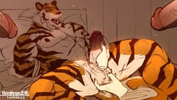 2016 anthro balls cum cumshot disembodied_hand ejaculation feline furry grope handjob humanoid_penis male mammal muscular orgasm penis sex tiger werethrope yaoi