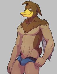 animal_genitalia anthro avian beak bird brown_feathers bulge charlie_(toki) clothing duck feathers half-closed_eyes knuxlight male male_only muscular muscular_male penis poking_out sheath smile solo underwear