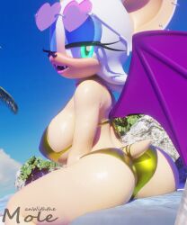 rouge the bat from sonic (series) by manwiththemole