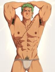 one piece fan art
