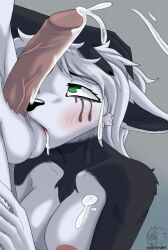Brother (Lore) Rule 34 Image