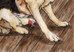 animal_genitalia canine canine faceless_male feral german_shepherd half-erect kola male mammal painting paws penis precum sheath sitting solo