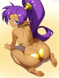shantae (character) from shantae by yisusjpl