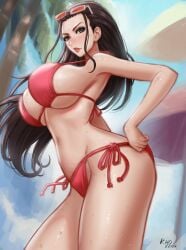 one piece fan art