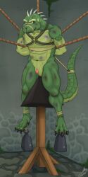 abs absurd_res anal anal_penetration animal_genitalia anthro bdsm biceps blood bodily_fluids bondage bound digital_media_(artwork) feet genital_slit genital_torture genitals hands_behind_back hands_tied hands_tied_behind_back hi_res judas_cradle likangel lizard male male_penetrated muscular muscular_anthro muscular_male navel nude pecs penetration penis penis_tip reptile rope scalie snuff solo tail tail_tied toes torture torture_device weights wounded