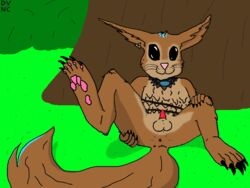 balls brown_fur deity dvnc ear_piercing erection feet fur furry looking_at_viewer lying male male_only mammal norse_mythology nude on_back penis piercing presenting ratatoskr_(smite) rodent rough_sketch semi-anthro smite solo squirrel testicles video_games whiskers