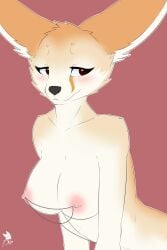 2015 2:3 absurd_res anthro avoid_posting blush breasts brown_body brown_eyes brown_fur canid canine conditional_dnp digital_media_(artwork) drakeraynier female fennec_fox fox fur half-length_portrait hi_res mammal naomi_(disambiguation) nipple_chain nipple_piercing nipples nude piercing portrait signature simple_background smile solo true_fox watermark white_body white_fur