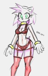 amy_rose female furry lingerie sega sonic_(series) xz_epic