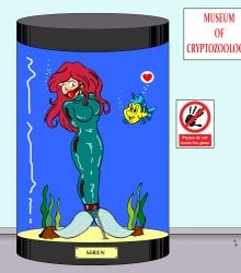 1boy 1girls alexanderlegrand ariel ball_gag bondage bound chains disney english_text female femsub flounder fully_clothed gag heart_symbol male mermaid museum png text the_little_mermaid the_little_mermaid_(1989_film) underwater water water_tank