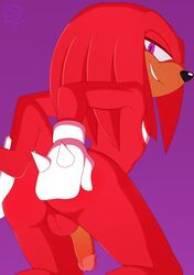 anthro ass balls clothing echidna gloves hand_on_ass jammiez jamz knuckles_the_echidna looking_at_viewer looking_back male male_only mammal monotreme nude penis presenting presenting_hindquarters sitting smile solo sonic_(series) spikes video_games