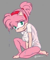 1girls amy_rose anymatur female furry nipples ponytail sega shirt sonic_(series) wet wet_shirt