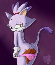 blaze_the_cat emmapresents feces furry panties scat shit soiling soiling_panties sonic_(series)