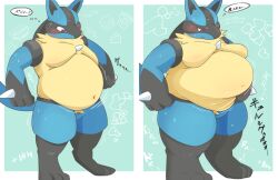 1boy bbm big_breasts breasts furry huge_breasts lucario mokeee57 moobs overweight pokemon pokemon_(species) thick_thighs weight_gain wide_hips